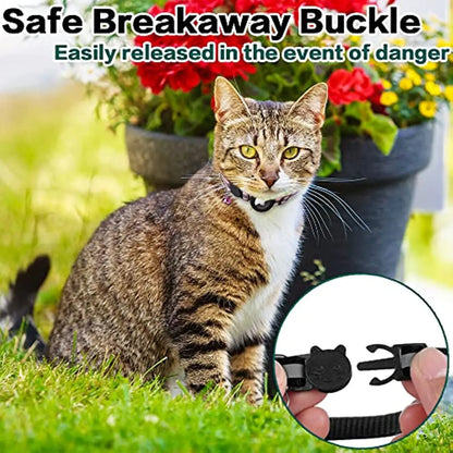 Cat Collar