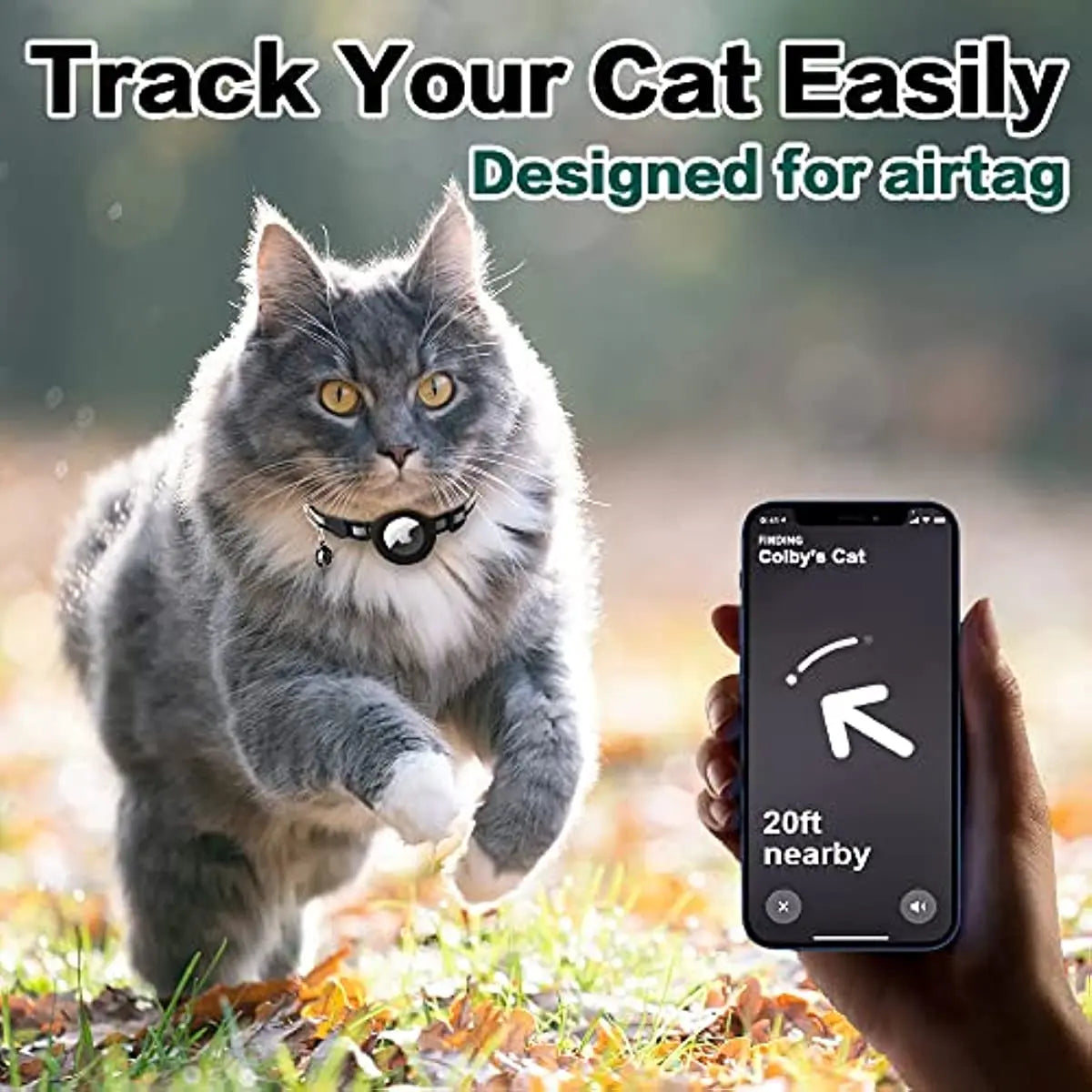 Cat Collar