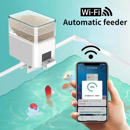 Fish Feeder
