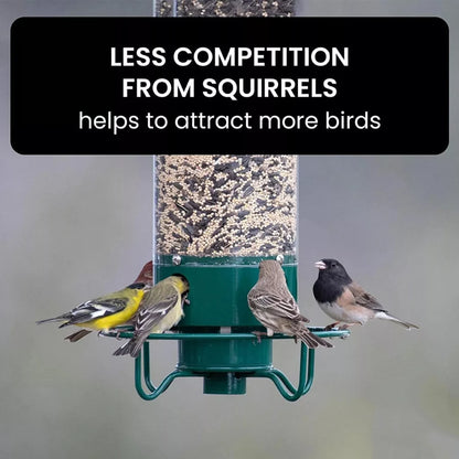 Birdie Buffet